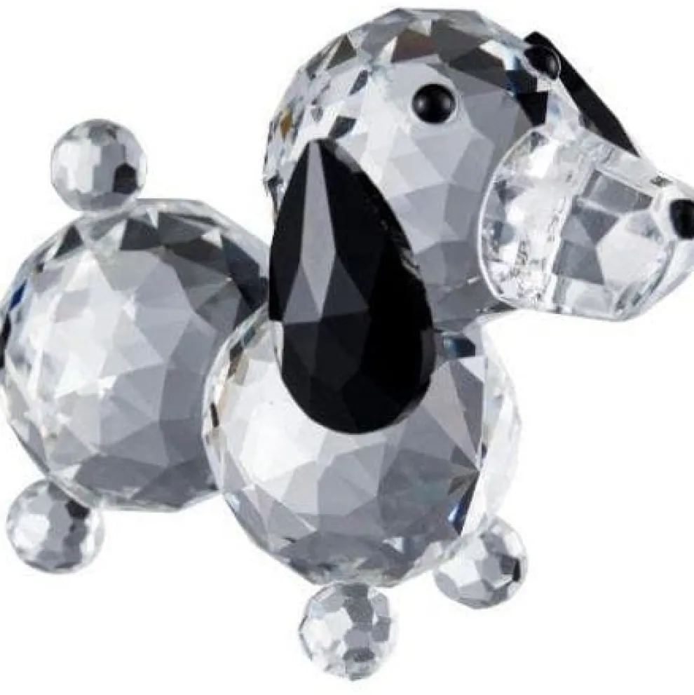 Dachshund Dog