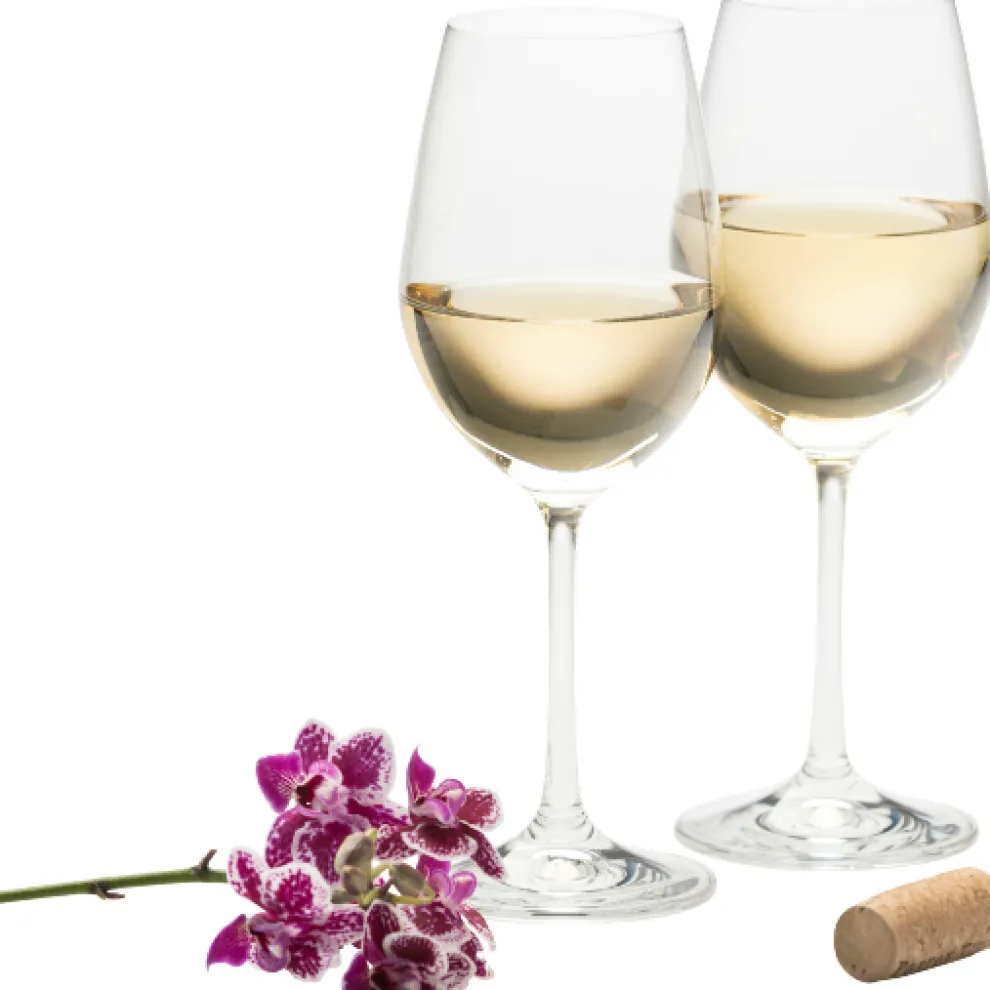 Elegance Wine Glass Pair