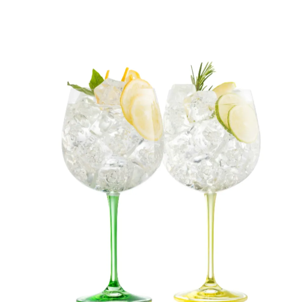 Gin & Tonic Glass Pair - Lemon & Lime